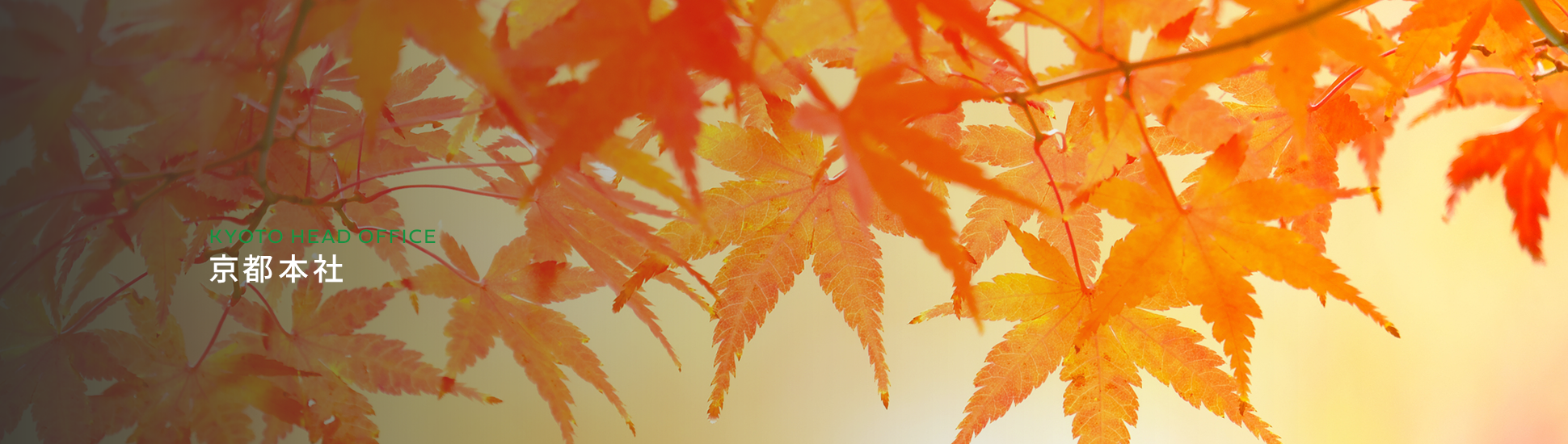 京都本社