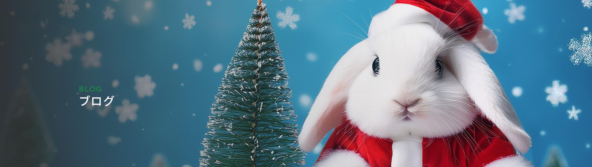 オフィシャルブログ