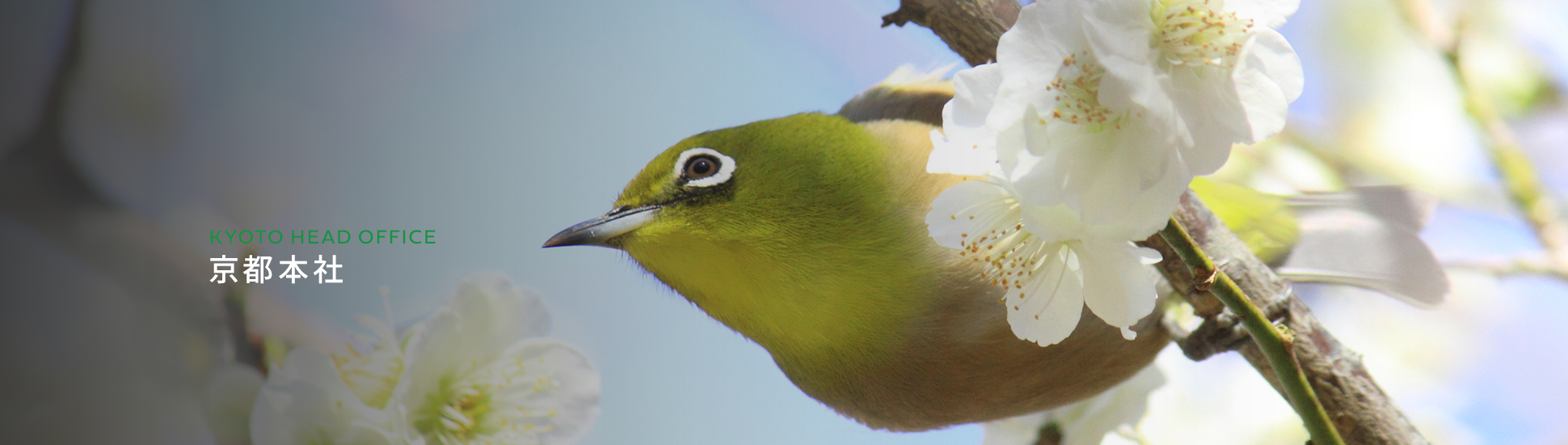 京都本社